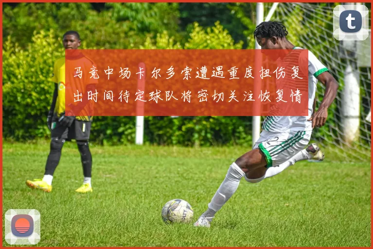 马竞中场卡尔多索遭遇重度扭伤复出时间待定球队将密切关注恢复情况