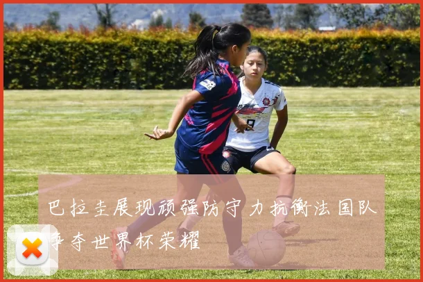 巴拉圭展现顽强防守力抗衡法国队争夺世界杯荣耀